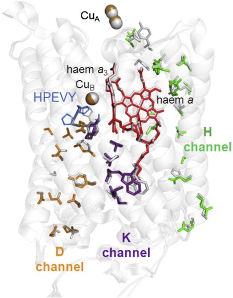 Fig. 3