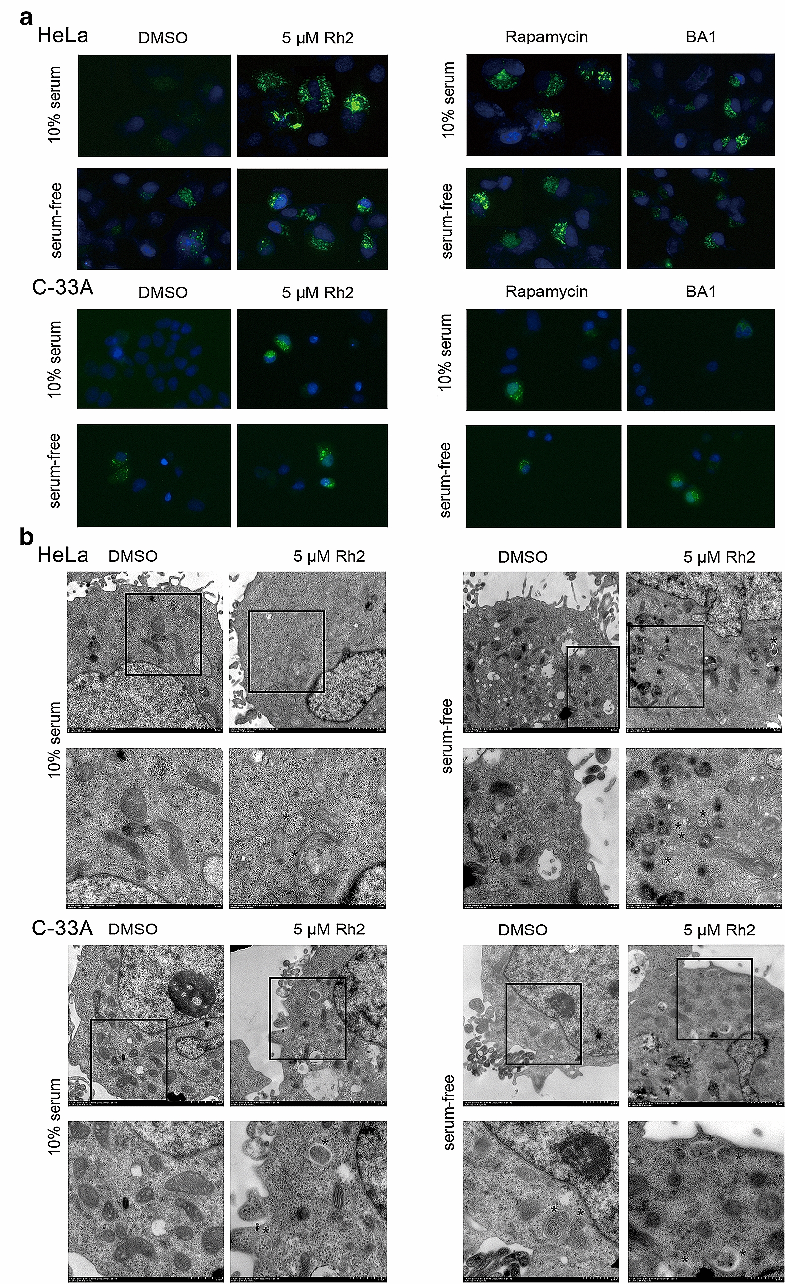 Fig. 4