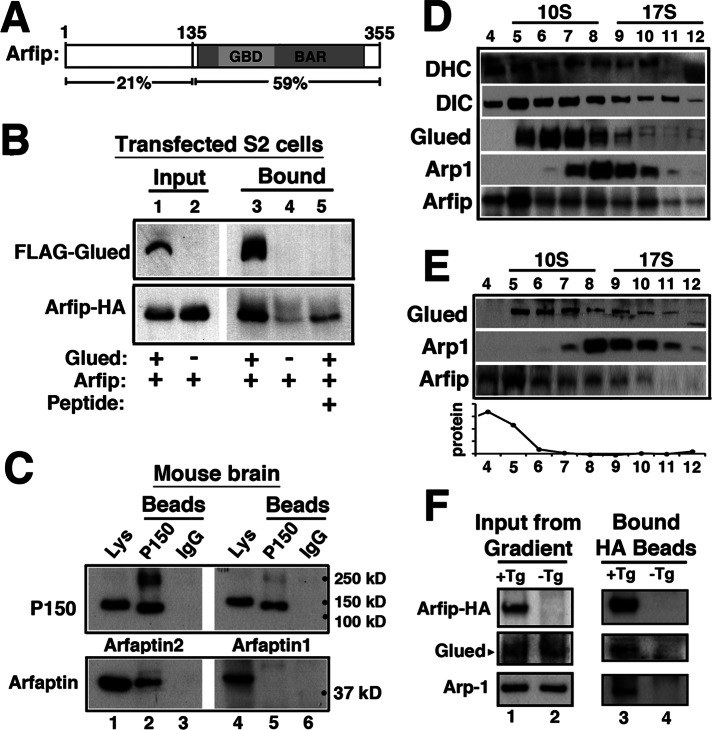 FIGURE 3: