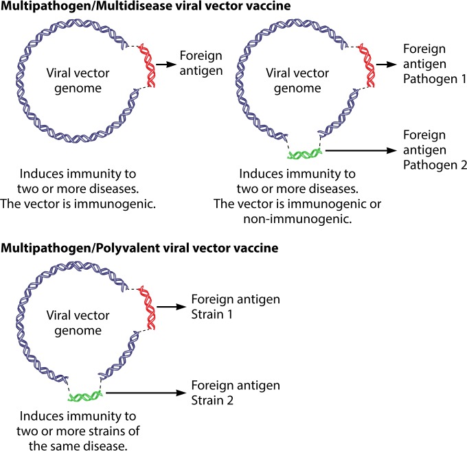 FIG 1