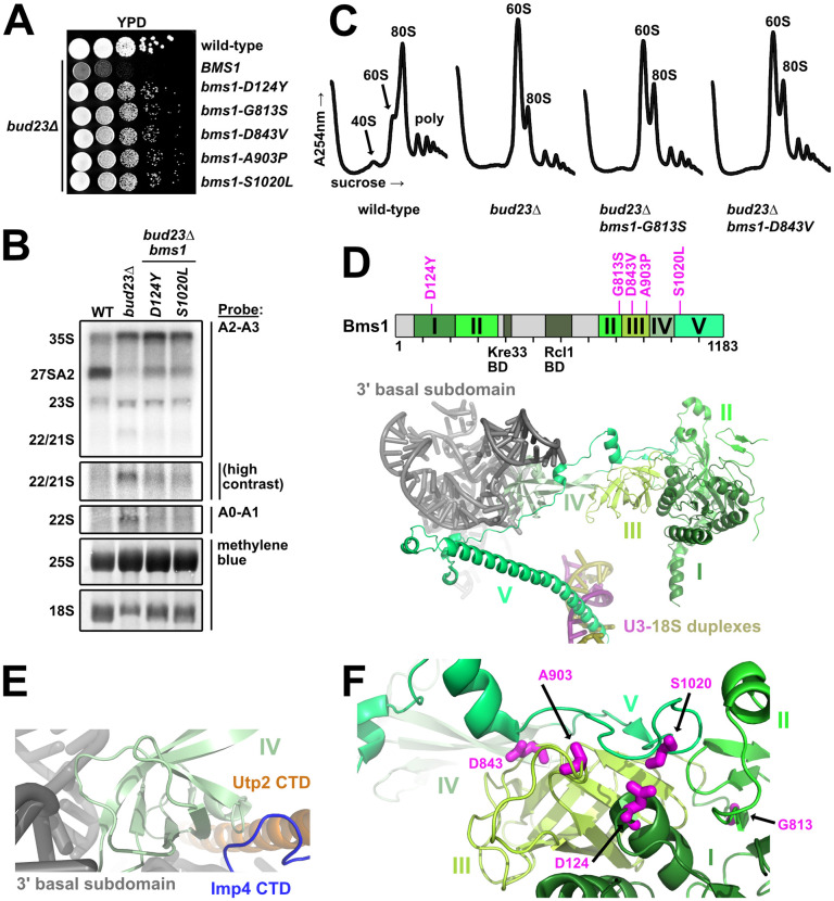 Fig 4