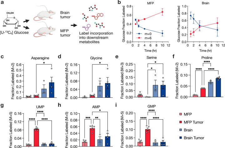 Fig. 4: