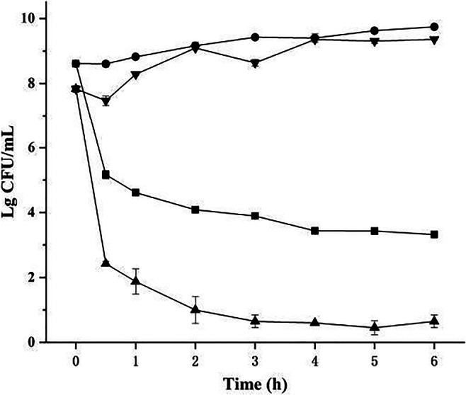 Fig. 3