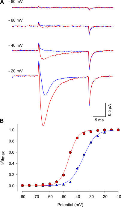 Figure 5.