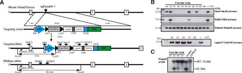 Fig. 6