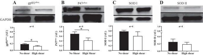 Fig. 9.