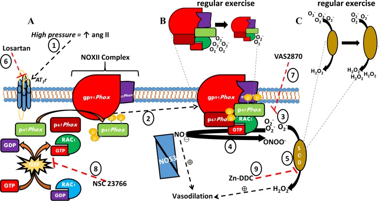 Fig. 12.