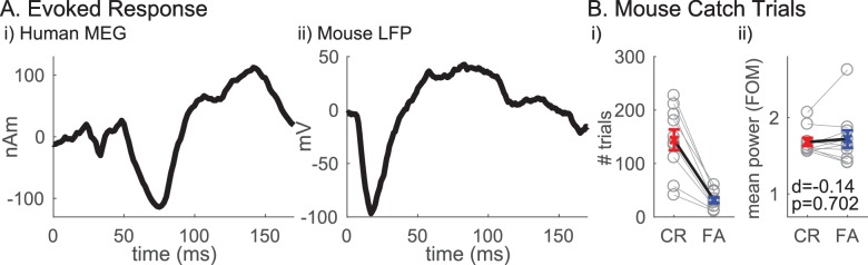 Figure 1—figure supplement 1.