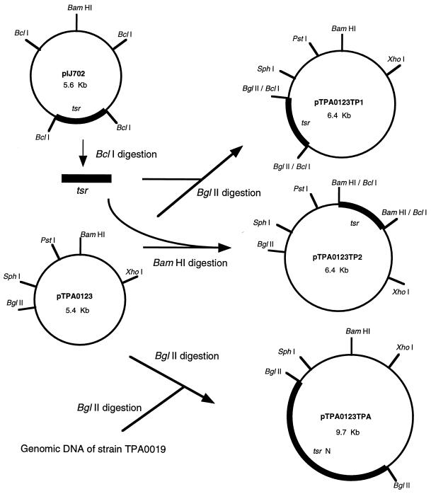 FIG. 1