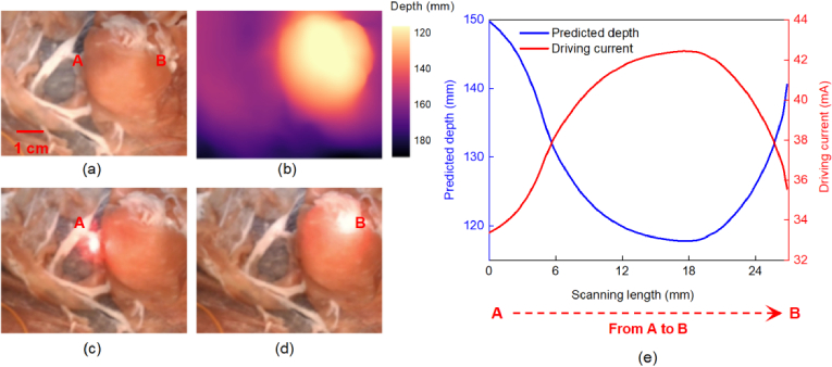 Fig. 11.