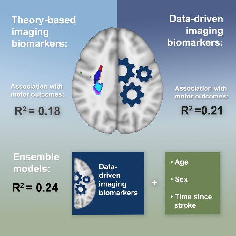 Graphical abstract