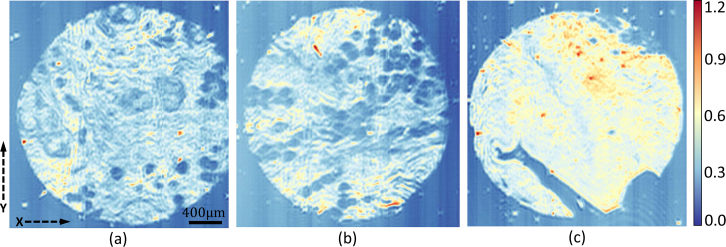 Fig. 9