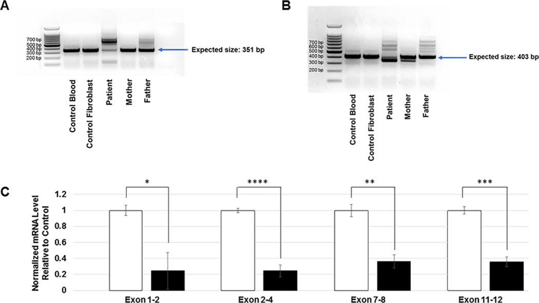 Figure 4: