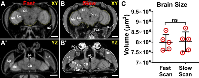 Figure 3: