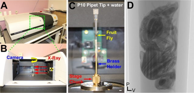 Figure 1: