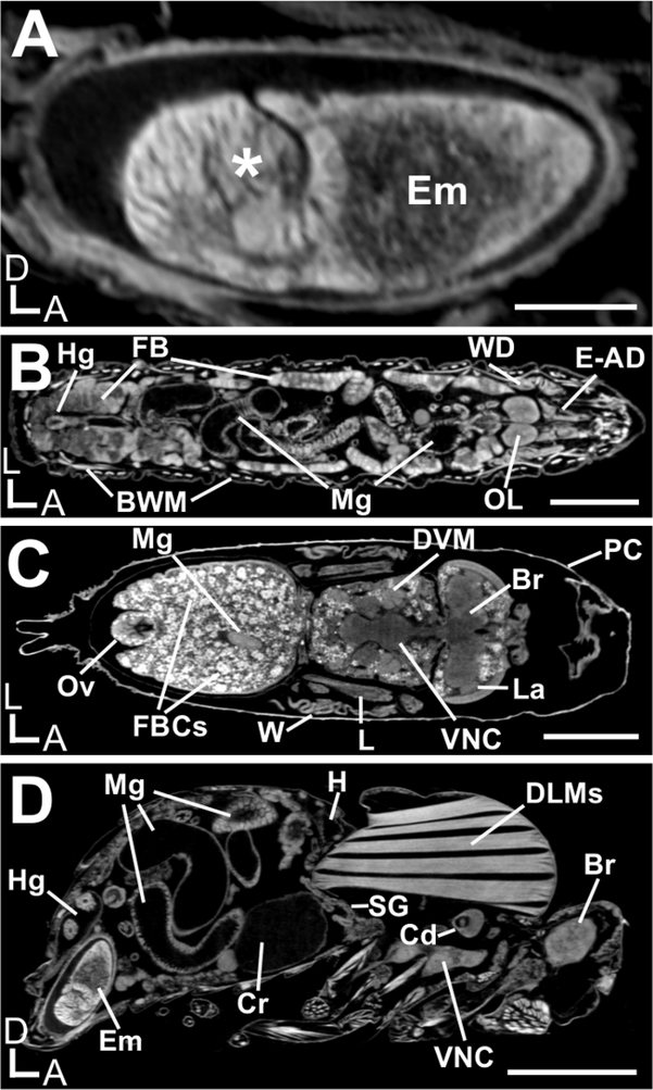 Figure 2: