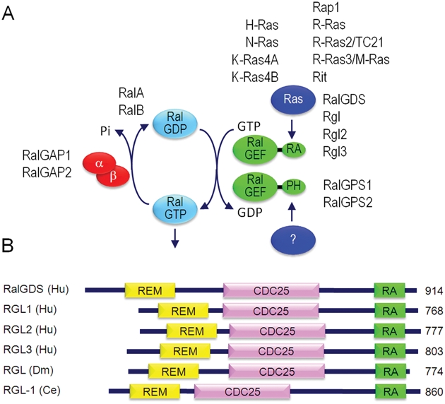 Figure 3.