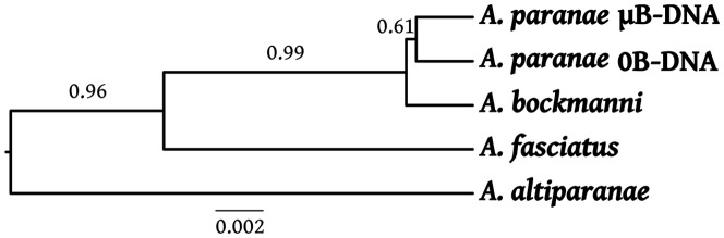 Figure 5