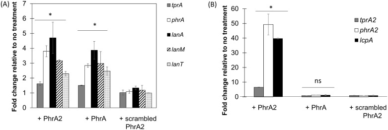 Fig 10