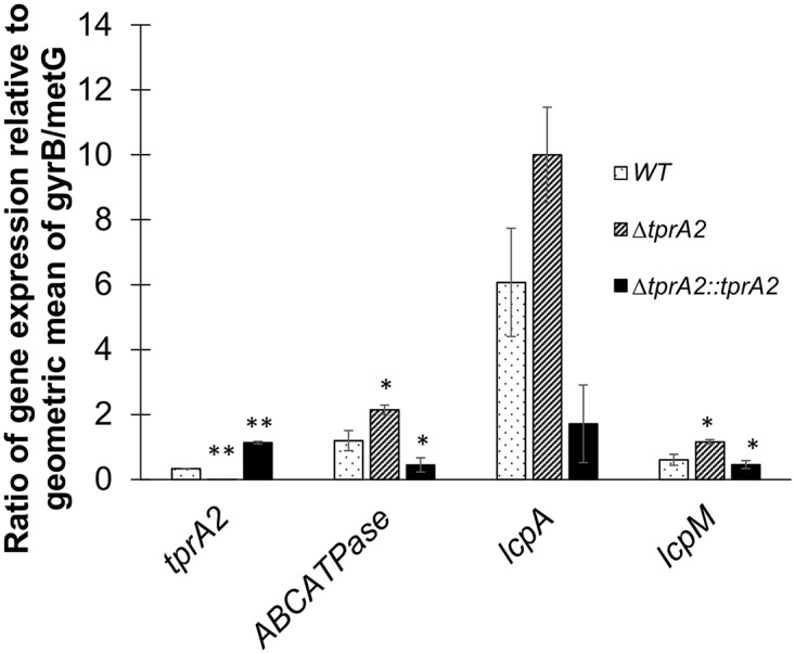 Fig 7