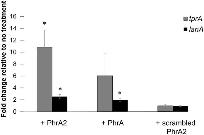 Fig 11