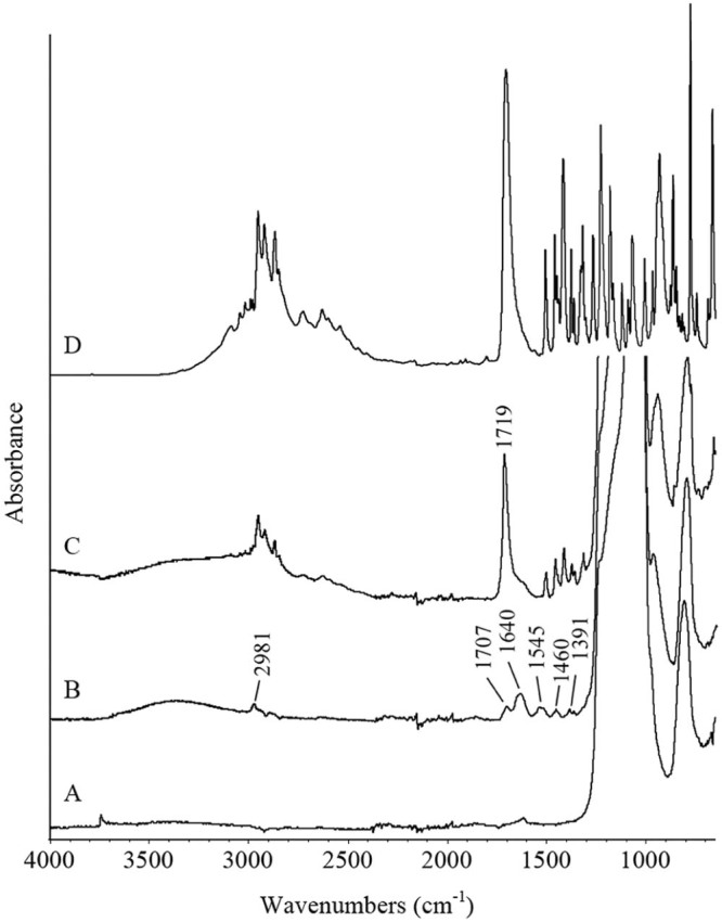 Fig. 3