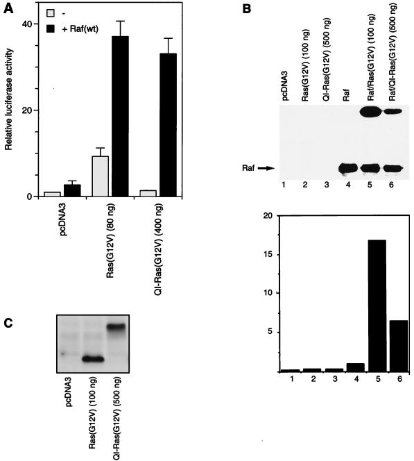 FIG. 6