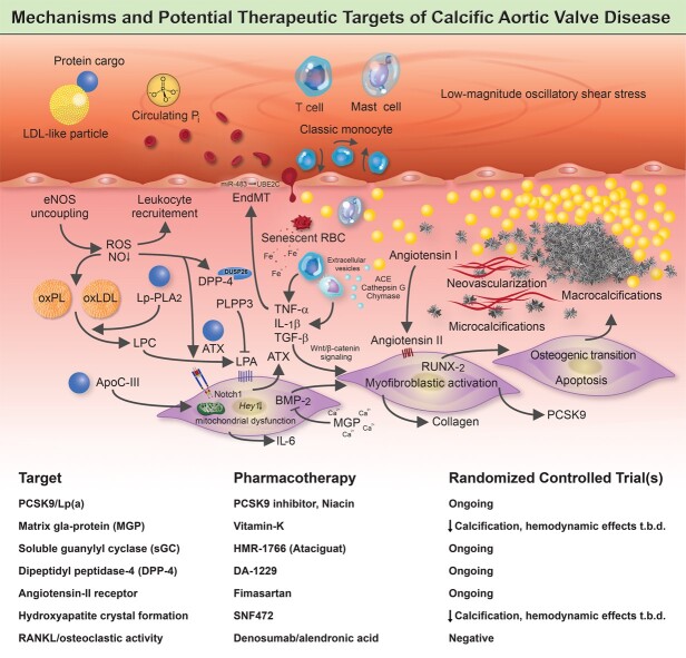 Graphical Abstract