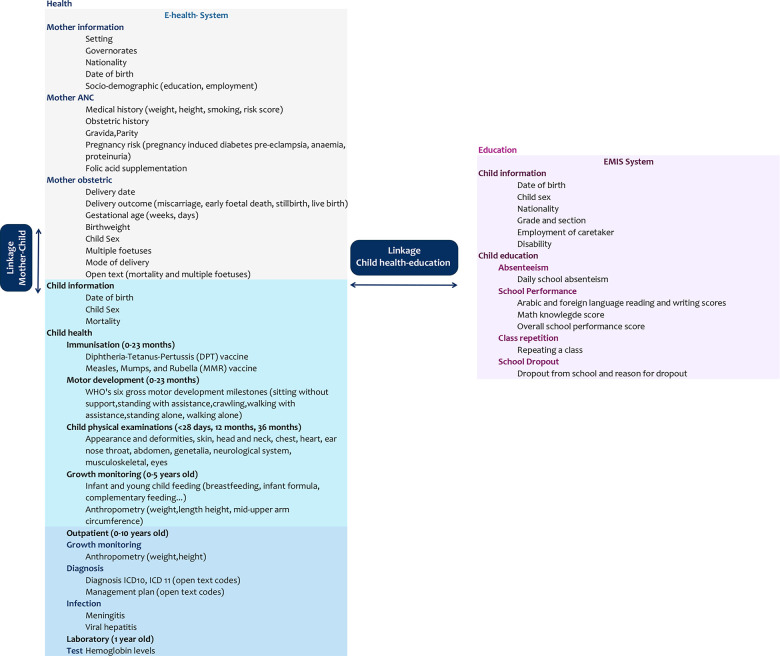 Figure 1: Variables extracted from maternal, child health records and child education records (grey mother E-health dataset, blue child E-health dataset, purple child EMIS dataset)