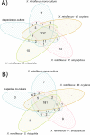 Fig 4