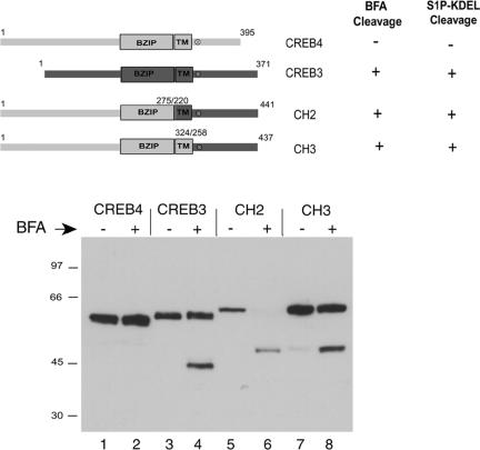 Figure 7.