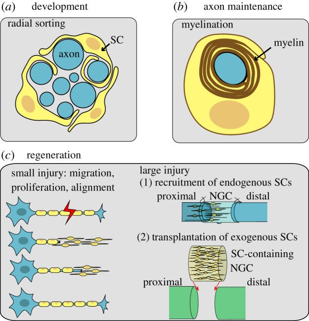 Figure 1.