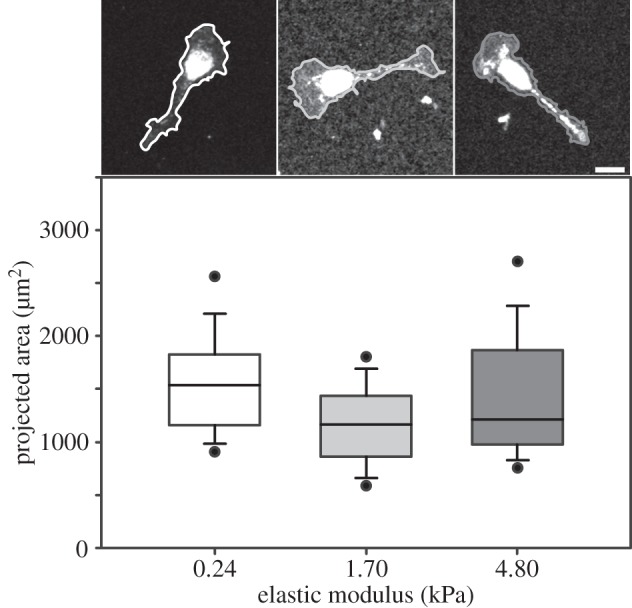 Figure 3.