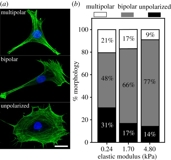 Figure 2.