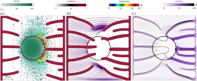 Figure 6.