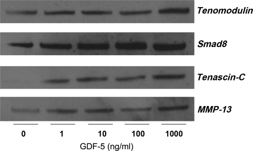 FIG. 10.