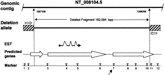 Figure  6