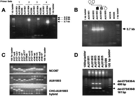 Figure  3