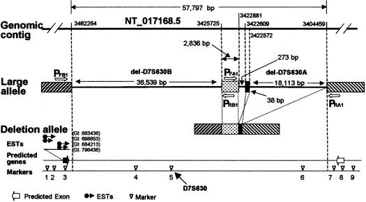 Figure  2