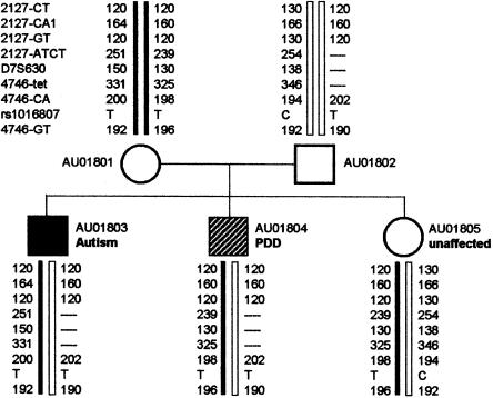 Figure  1