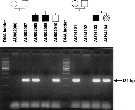 Figure  7