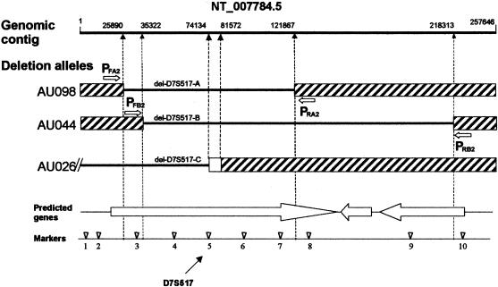 Figure  4