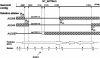 Figure  4