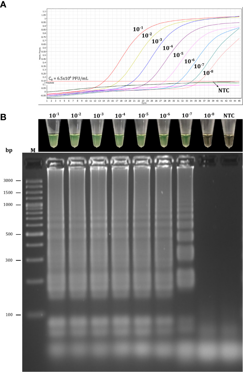 Figure 10