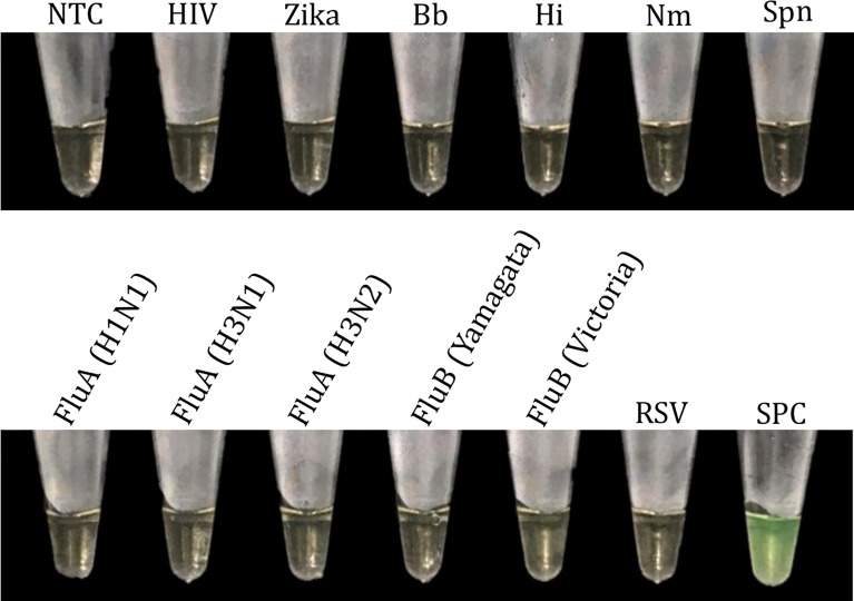 Figure 11