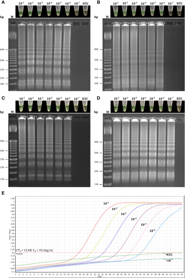 Figure 7