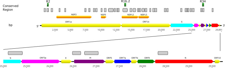 Figure 1