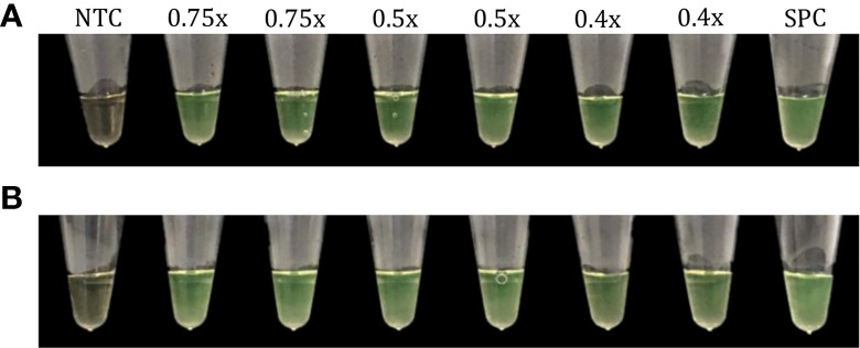 Figure 12