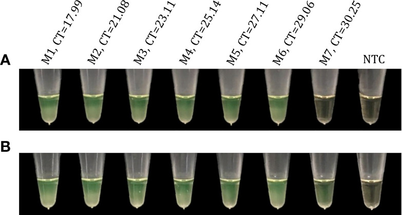 Figure 9