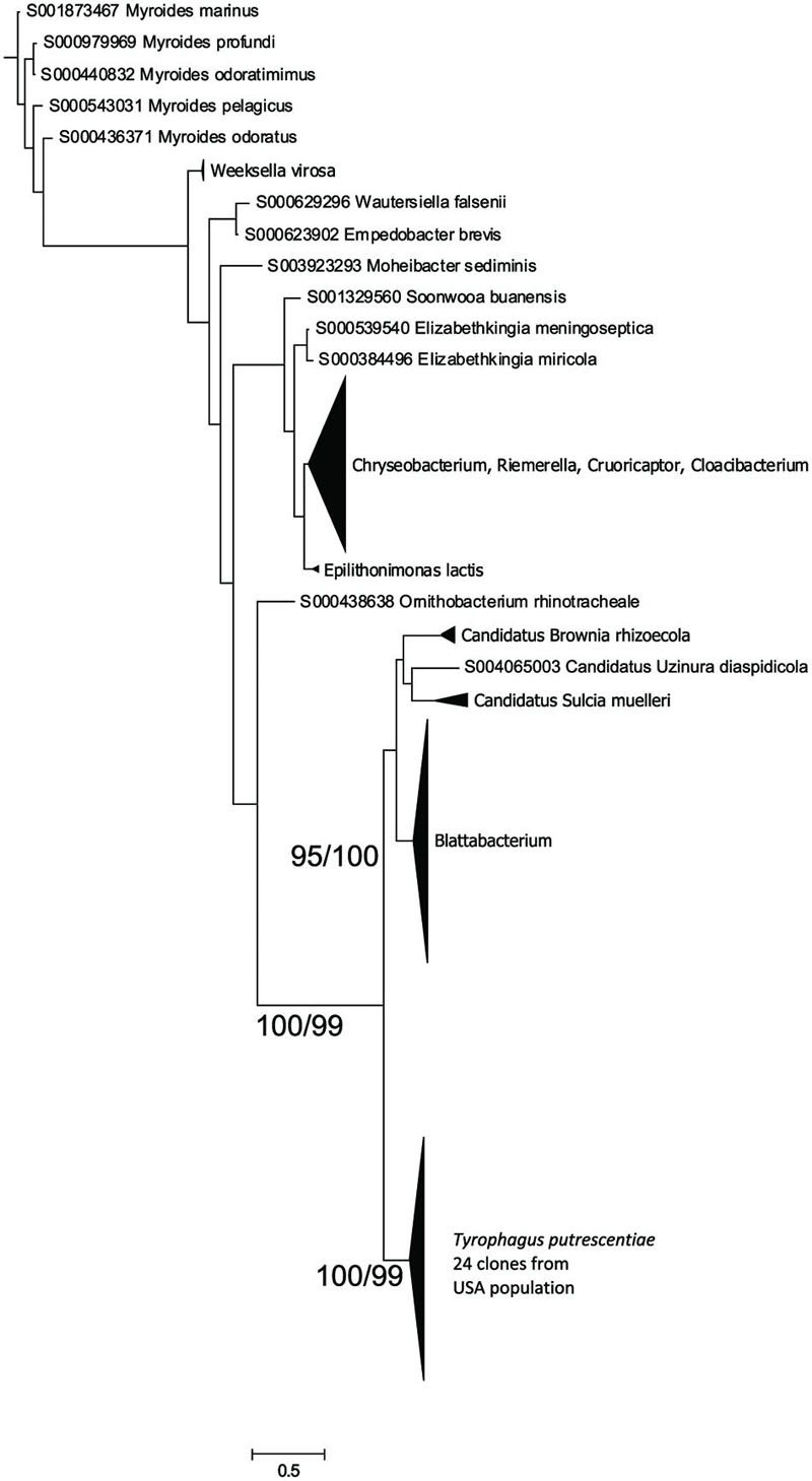 FIGURE 3